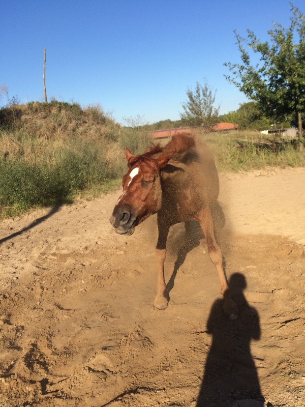 image001 600