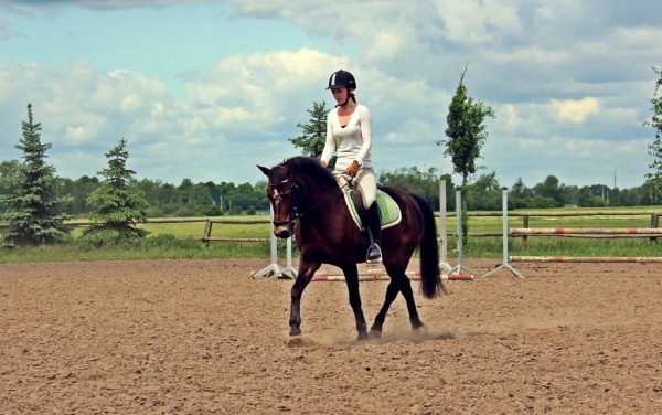 image006 600